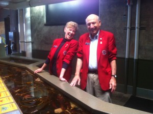 Seniors Volunteer Work